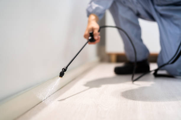 Licensed Termite Control service in Grissom AFB, IN - Nex Pest Control
