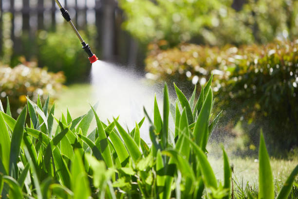 24/7 Emergency Termite Control experts in Grissom AFB, IN